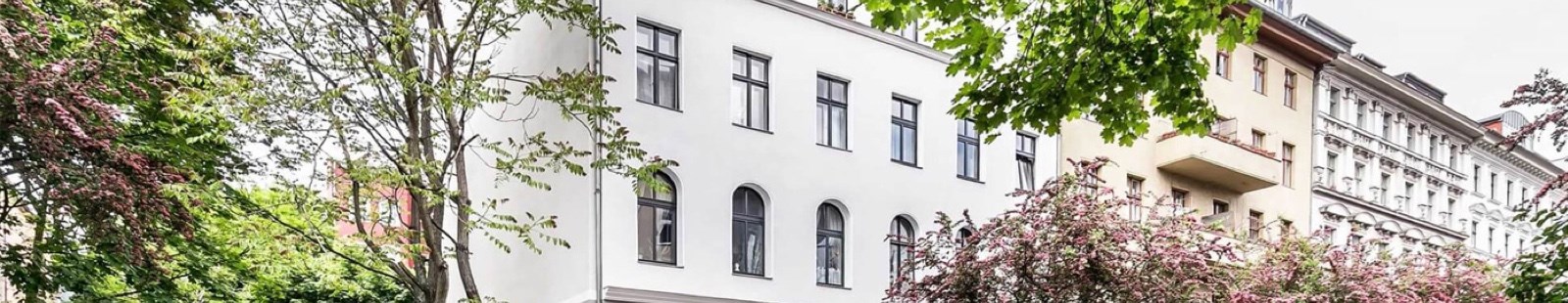 our homes banner.jpg