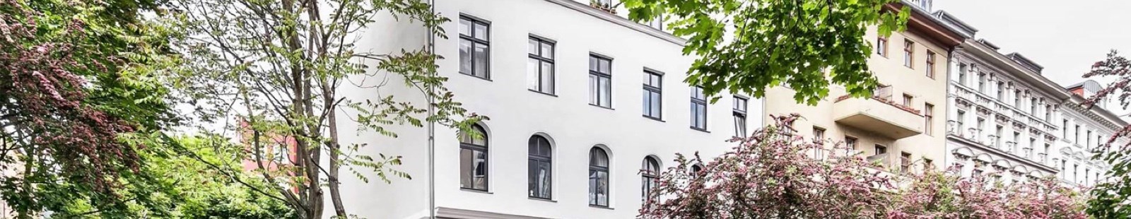 our homes banner.jpg